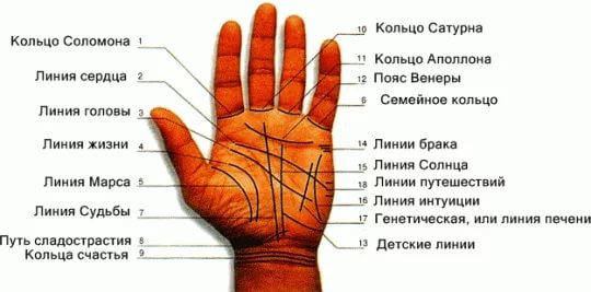 Картинка к материалу: «Линии на руке — значение, описание»